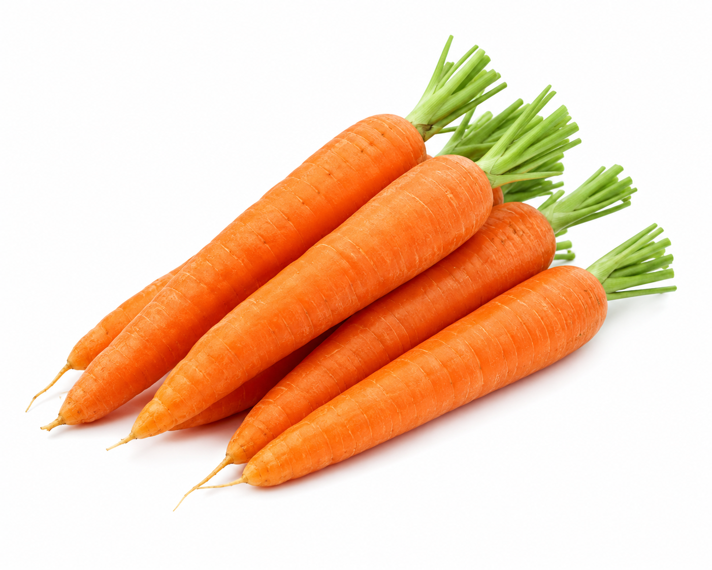 Zanahorias
