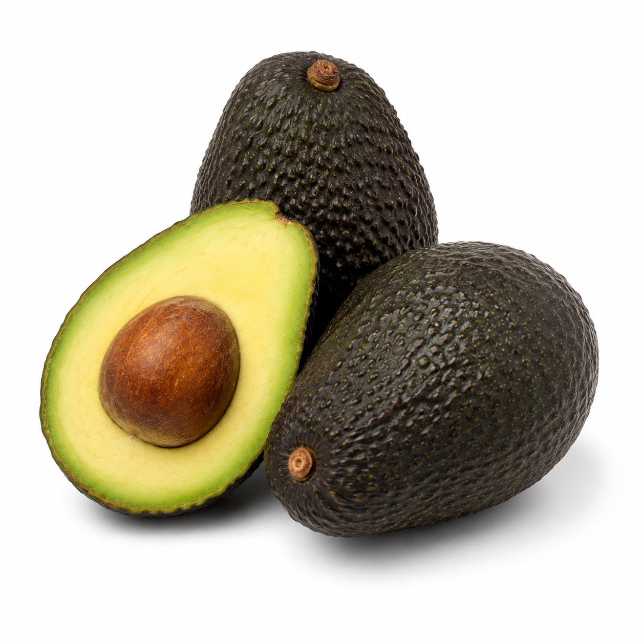 Palta Hass Chilena